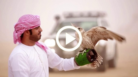 Young man lifting falcon