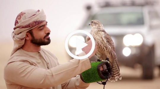 Young man caressing falcon