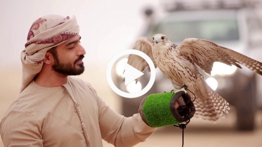 Young man carrying falcon