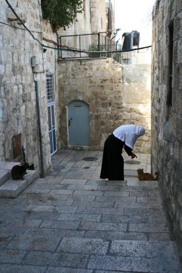 nun with a cat in jerusalem,palestine