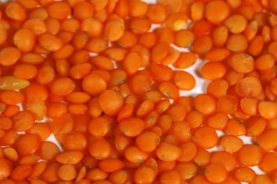 Lentils Grains