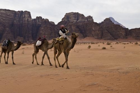 Bedouin and three camels in Wadi Rum