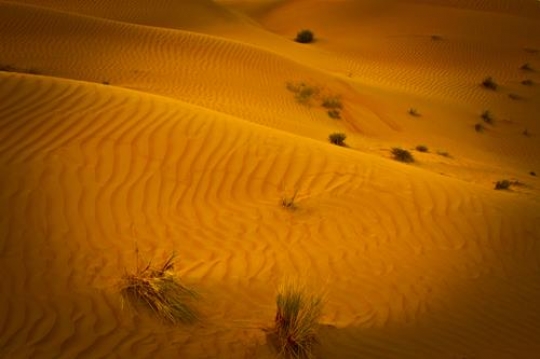 sand dunes in dessert