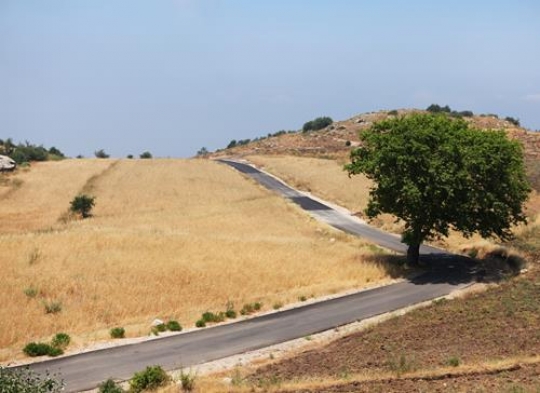 Country Road in Lebanon