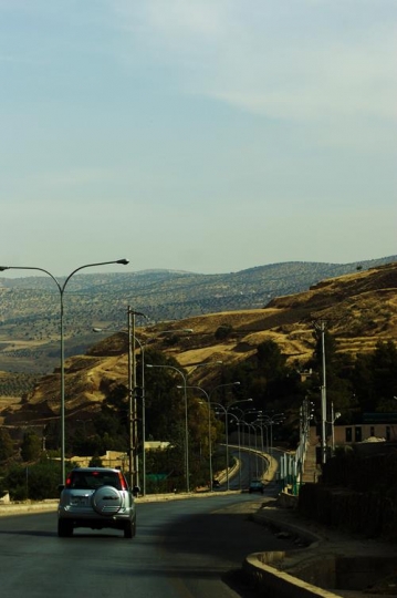 the road to dibeen forest reserve