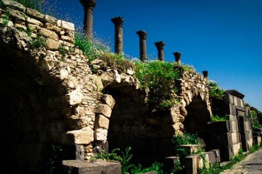 the ancient city of umm qais i