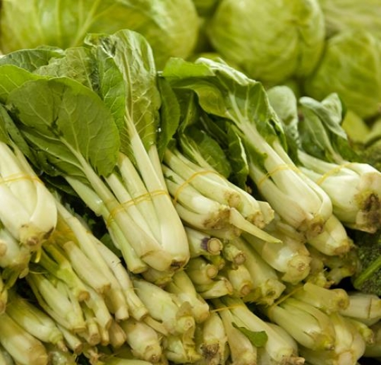 Vegetablesy