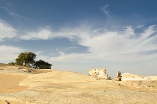 Desert View
