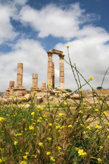 temple of hercules on the citadel in amman, jordan 