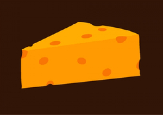 piece of cheese
