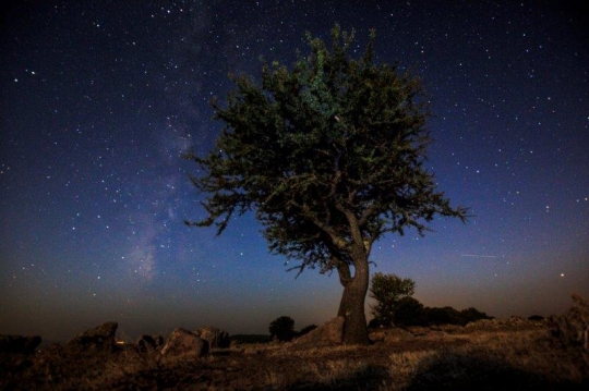 Night View in Assos Turkey