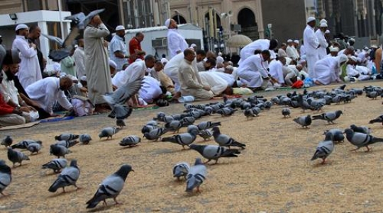 Congregational Prayer