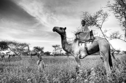 kurdufan,sudan