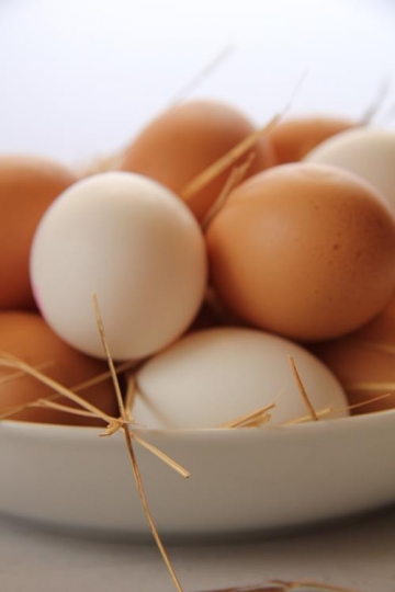 eggs