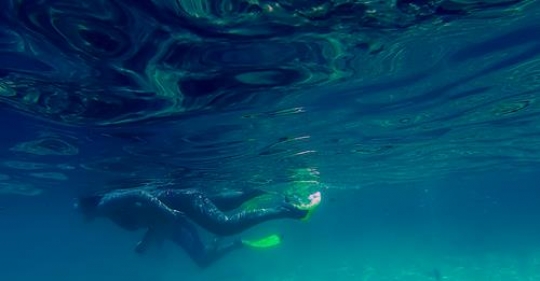 scuba driver swims in aqaba,jordan