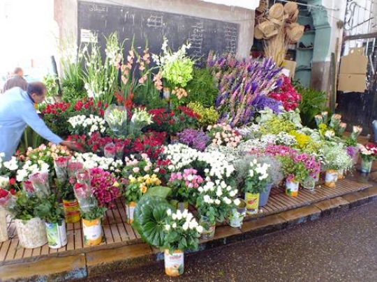 colorful flowers in a flowers shop on a market