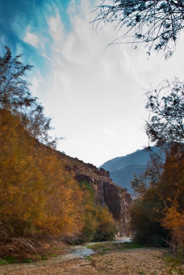 wadi karak valley,jordan
