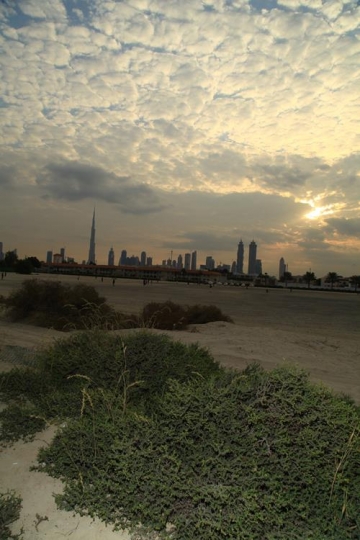 general distant view of modern city