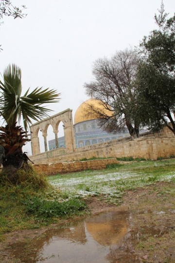  Dome of the Rock Mosque in winter
