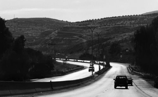 the road to dibeen forest reserve