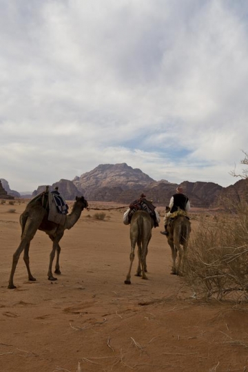 Bedouin and three camels in Wadi Rum