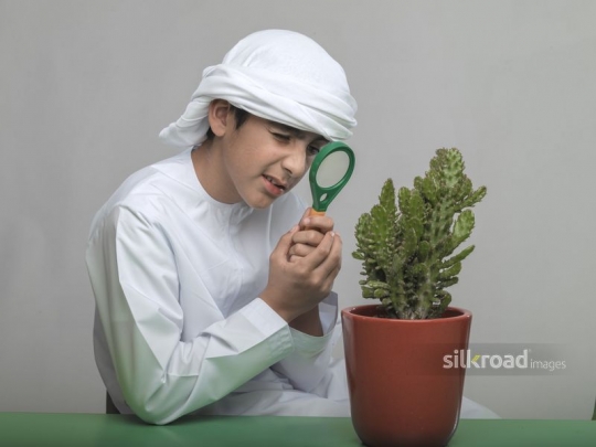 Boy observing a plant through his magnifier