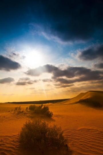 desert view with sun rays