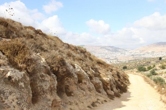 View of Nablus 