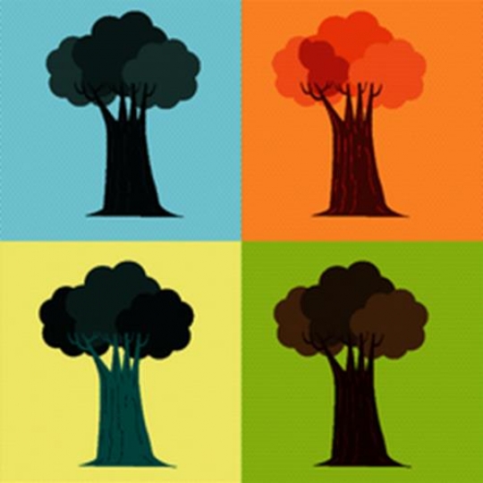 seasons trees