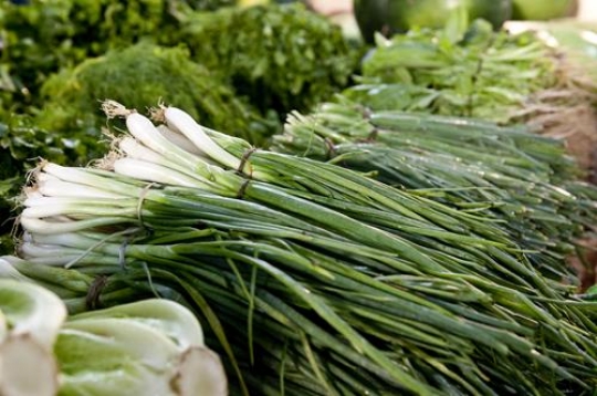 Green Onion 