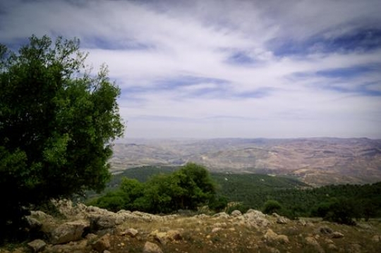 dibeen forest reserve