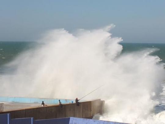 fishing on miami,florida