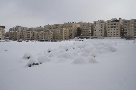 Snow covered Amman city 2012