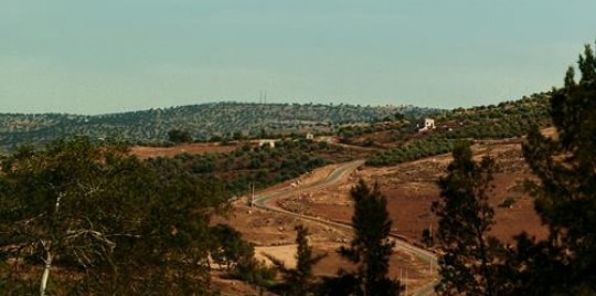 dibeen forest reserve