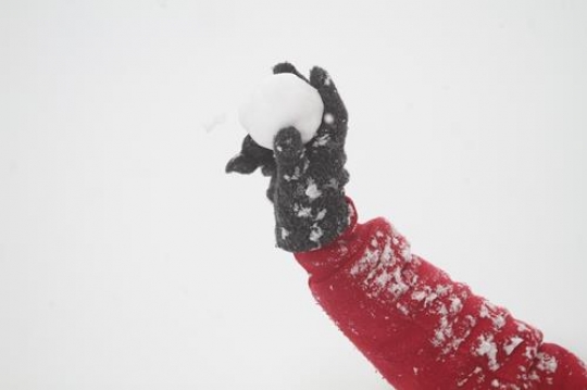 Fresh snow cover, at winter in Palestine, everbody happy and outside and play in the snow