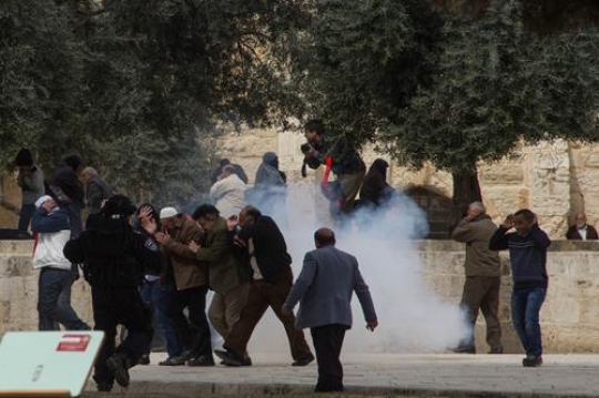palestinian people  Escape from Stun grenade
