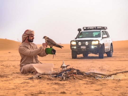 Man holding falcon