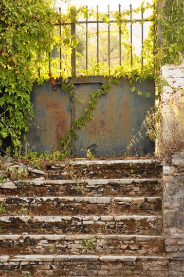 Stone stairs and old door