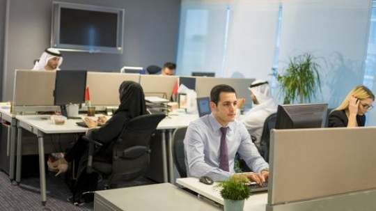 Businessmen and Businesswomen working from their desks|