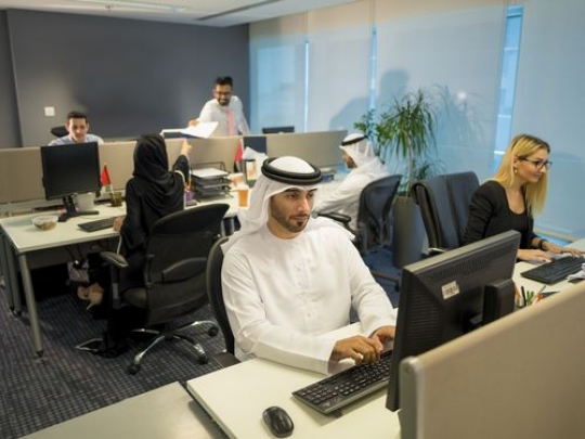 Business people sitting by their desks working|