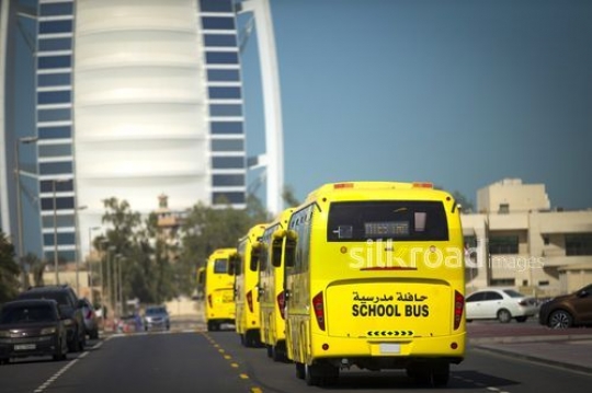 Yellow School buses driving behind each other|-