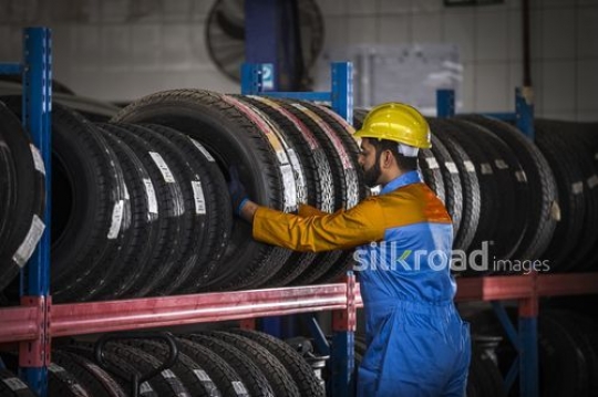 Car Mechanic Selecting a tire