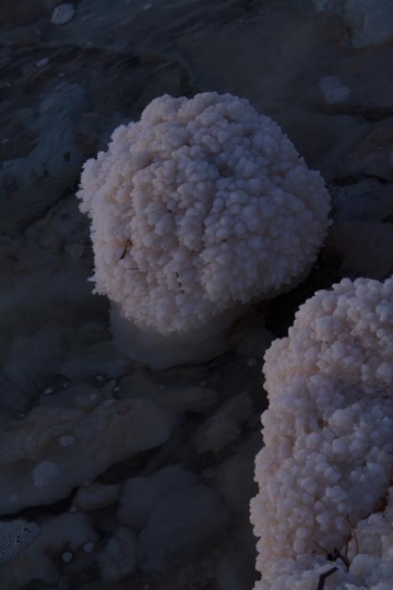 Crystalic salt on a rocks near beach in the Dead Sea, Jordan