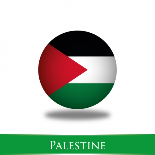 palestinian flag