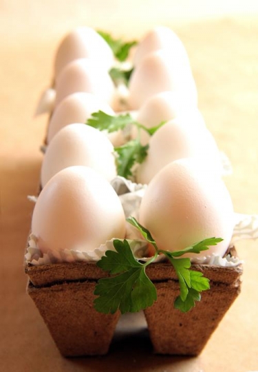 White eggs and parsley