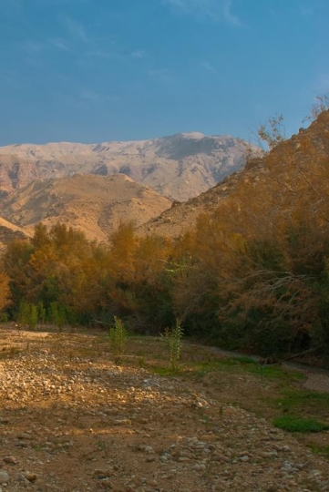wadi karak valley,jordan