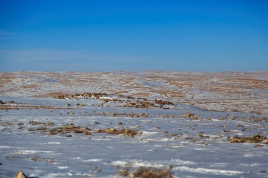 snow melting off the ground
