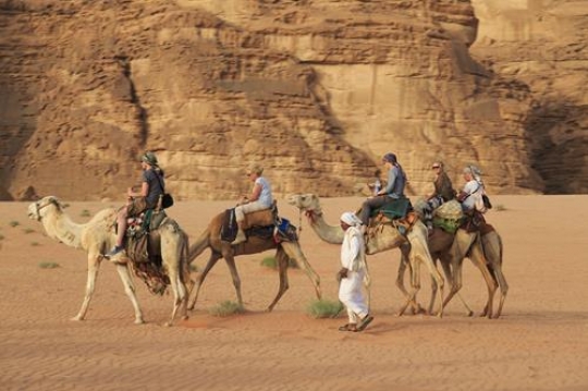tourists riding camels in wadi rum,jordan