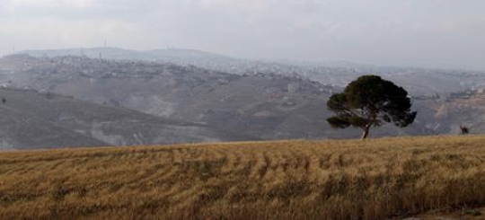 Landscape