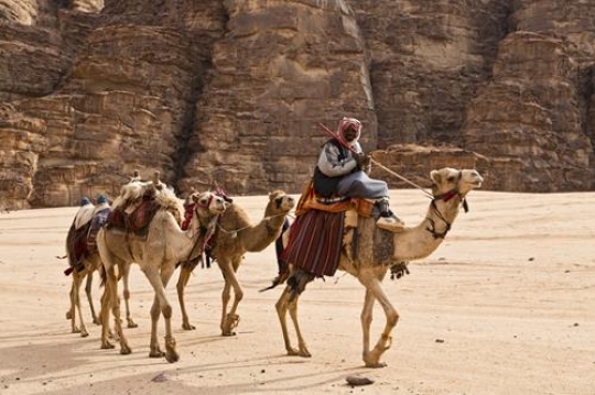 Bedouin and three camels in Wadi Rum
